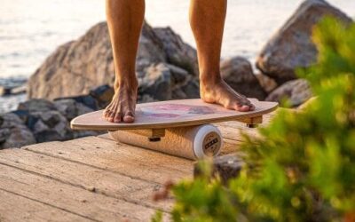 Ιδιοδεκτικότητα τι είναι