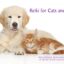reiki for cats and dogs